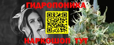 дмт Заволжье